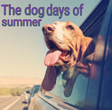 what does the idiom dog days of summer mean